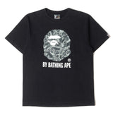 A Bathing Ape KAWS Logo Tee